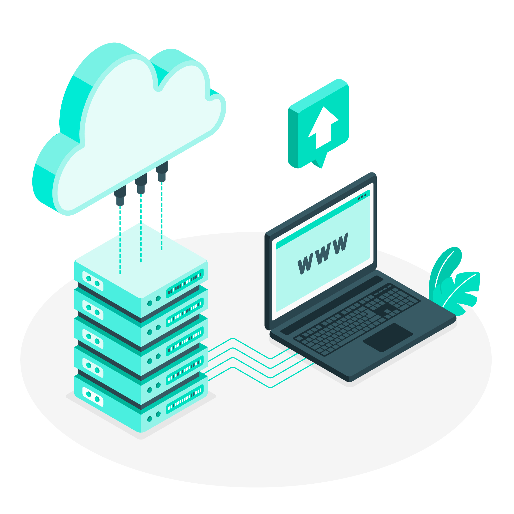 Domain and Website Hosting Services Company